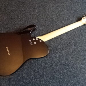 Guitare knoxville Deluxe 12 cordes - atelier occazik